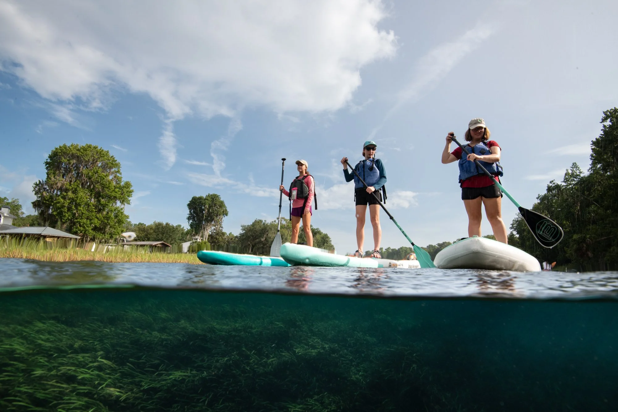 The Florida Wildlife Corridor: What It Means for Florida and the Nature Coast, with Speaker Kailyn Lawson