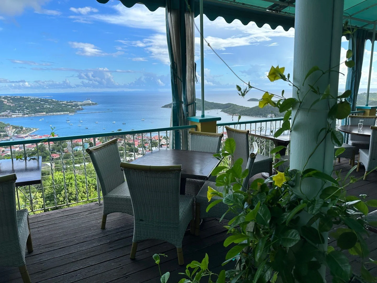 We ended up planting many new plants during our time off. The Mandevilla is starting to climb! Come check it out. Special thanks to ABC Nursery. 
#stt #mafolie #restaurants #plants #localplants #backtowork #stx #mandevilla