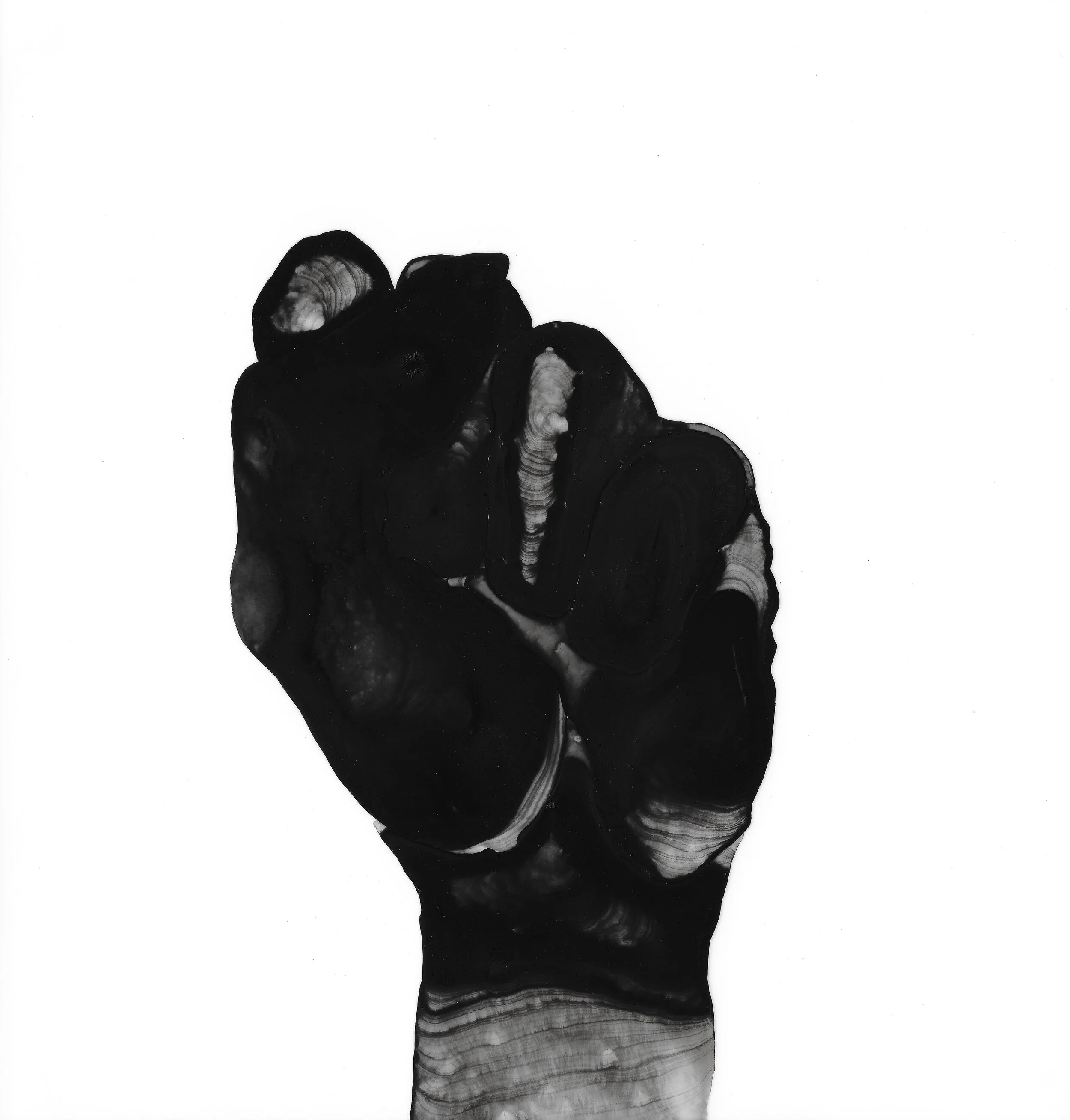 Fists-December 24.jpg