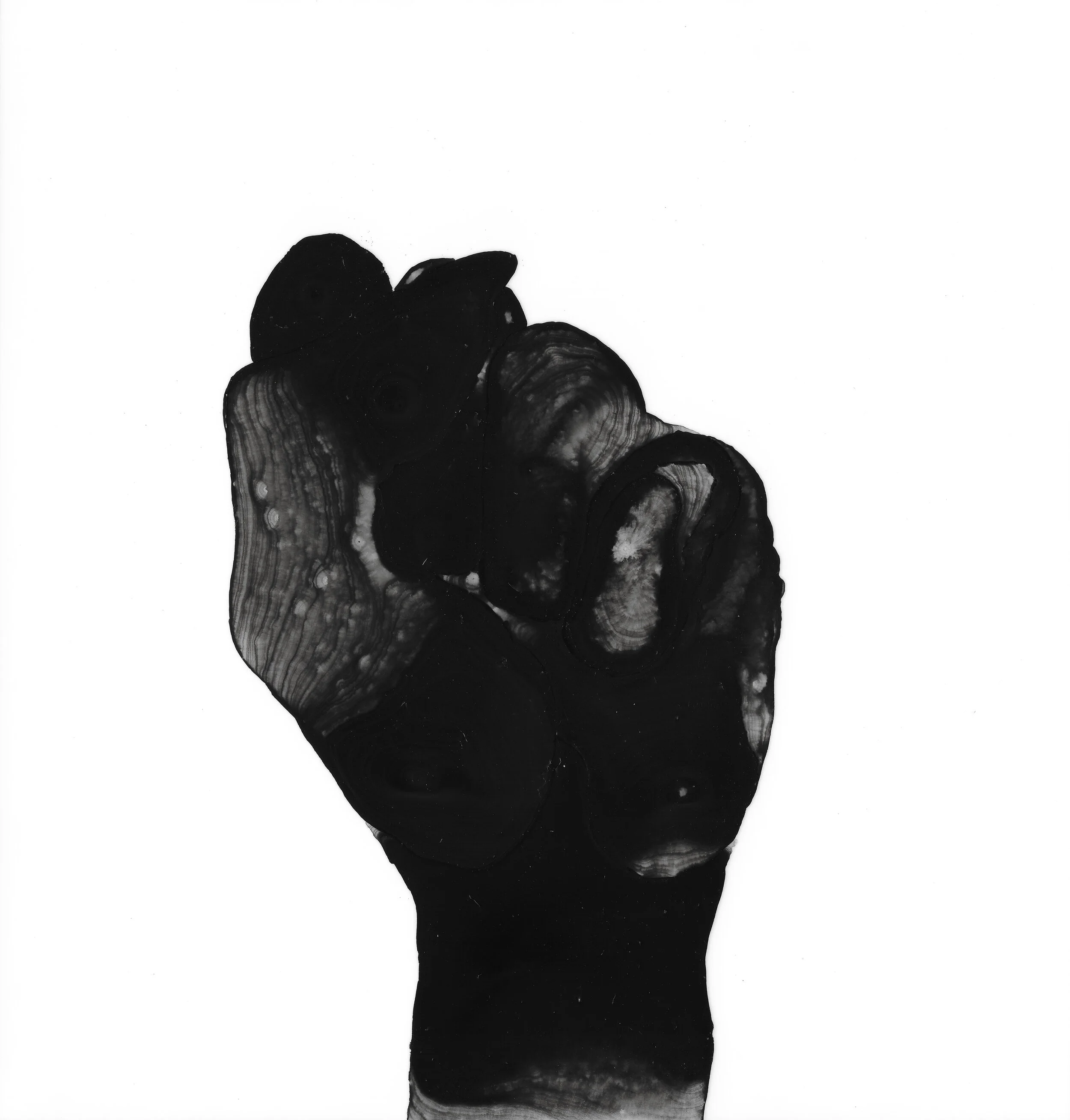 Fists-December 26.jpg