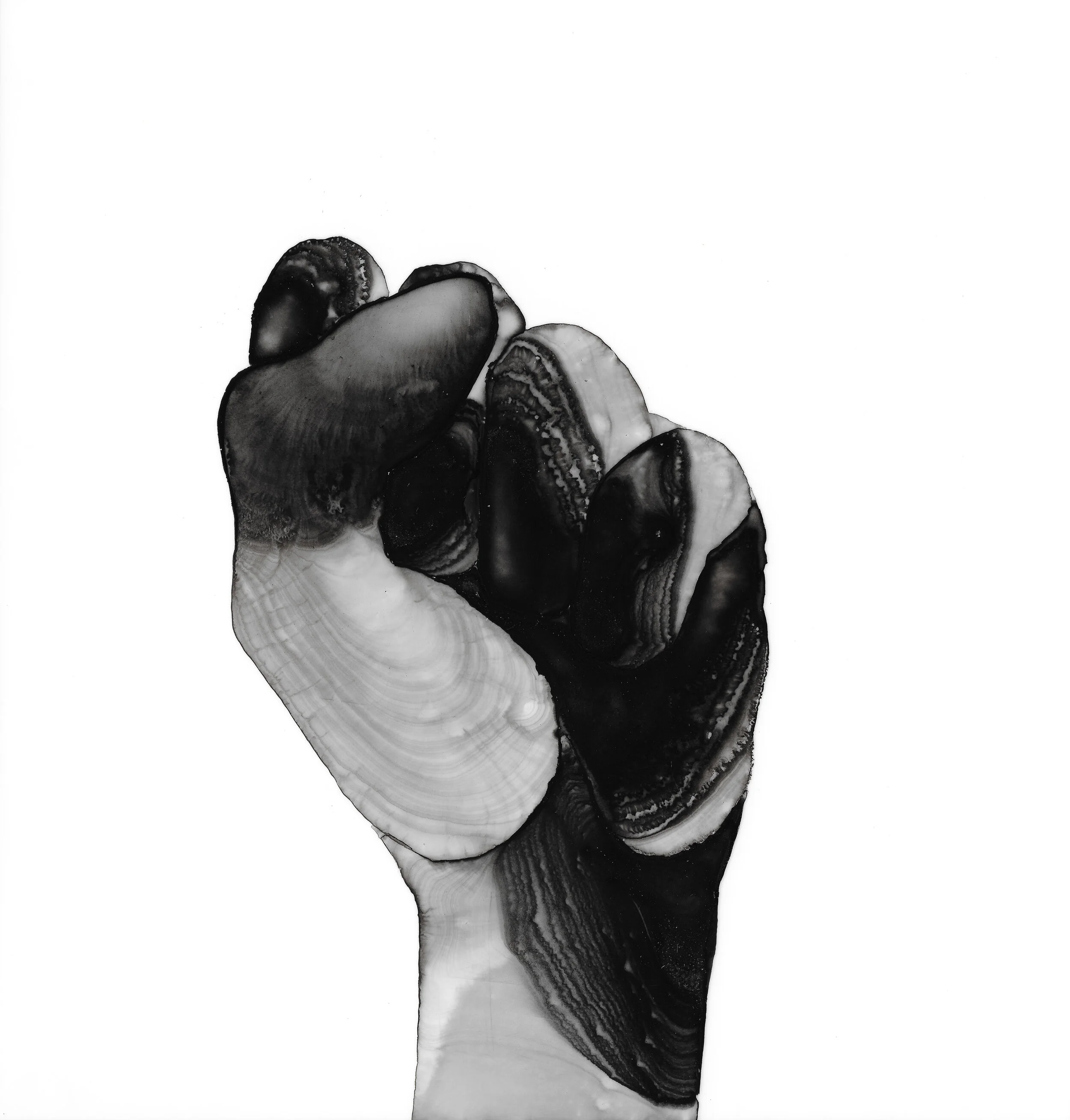 Fists-December 4.jpg