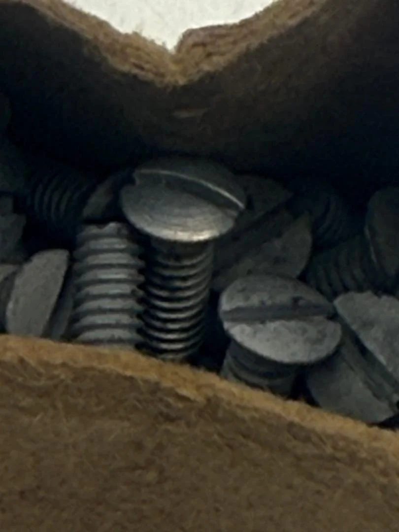 SEE3.jpg