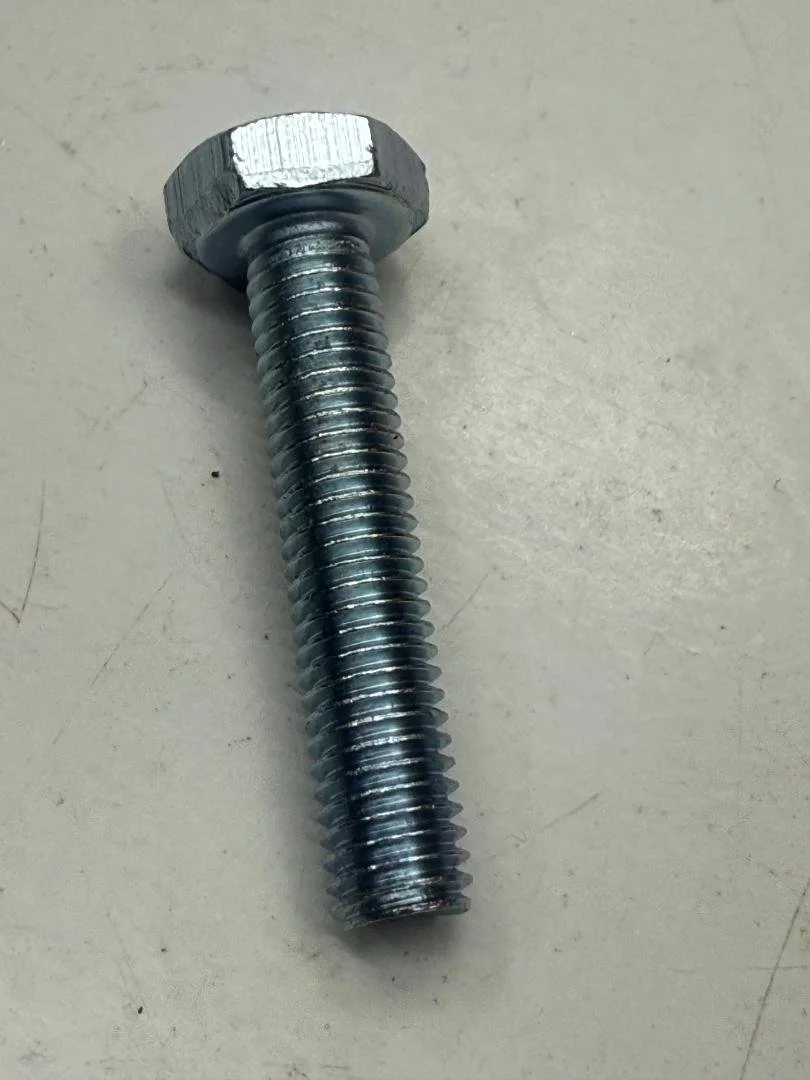 B5.jpg
