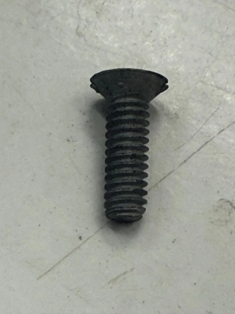 SEE1.jpg