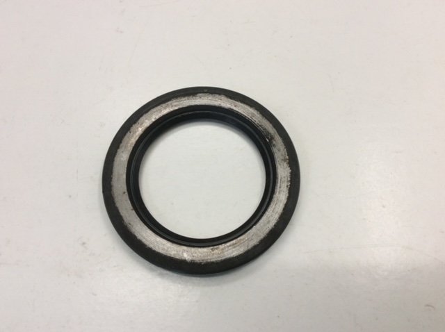 image3 (2).jpeg