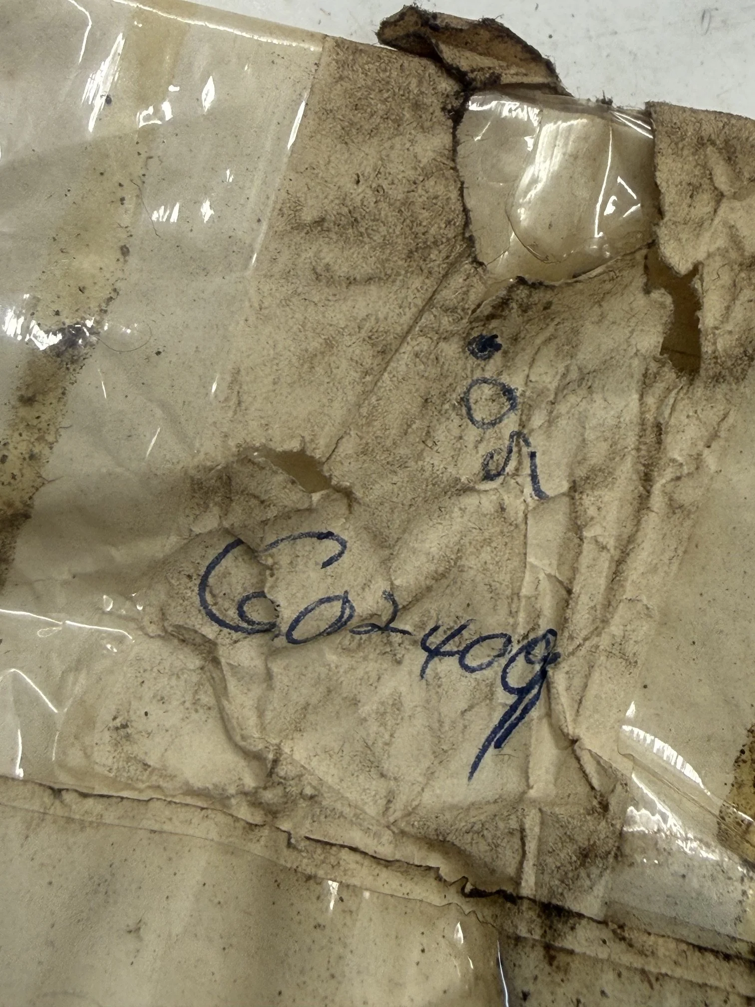 IMG_1138.jpeg