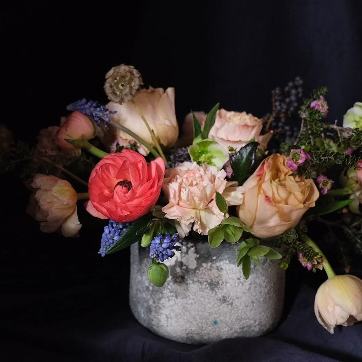 Designers Choice Standard