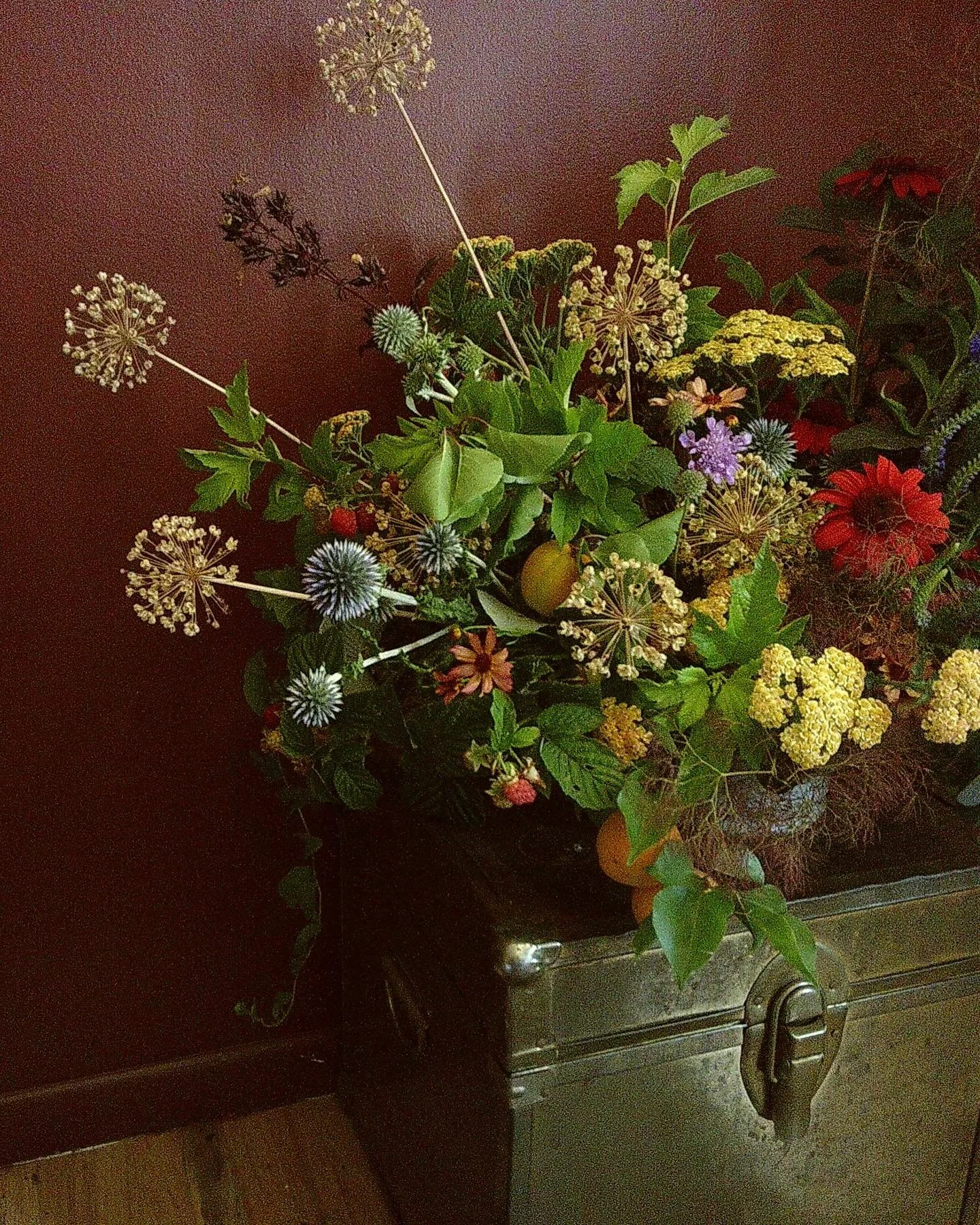 Flowers on film, from my garden 🤌🏽