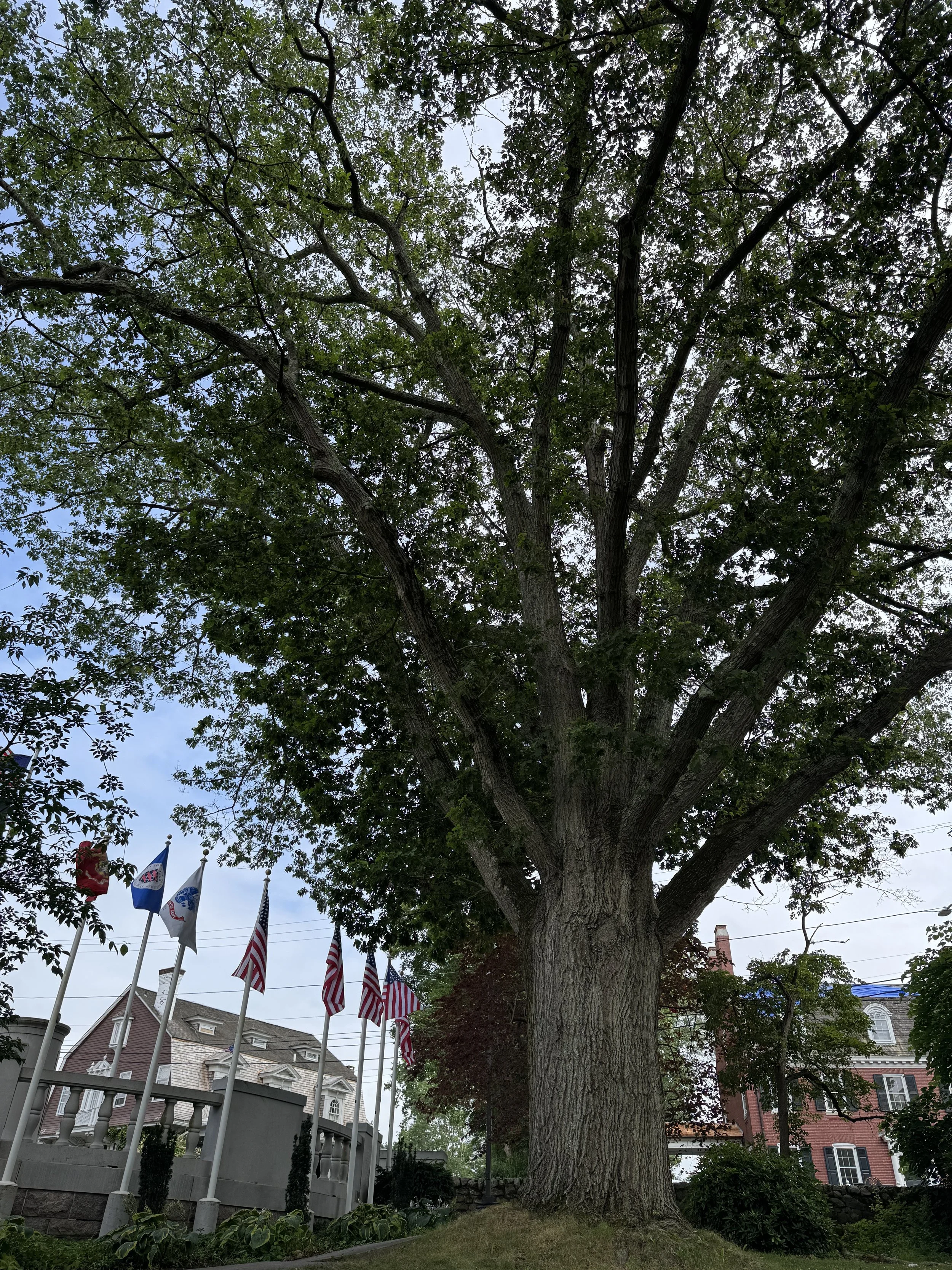 IMG_3750.JPG