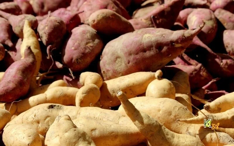 image-of-Are-Sweet-potatoes-Lower-in-Carbs-Than-White-Potatoes.jpg