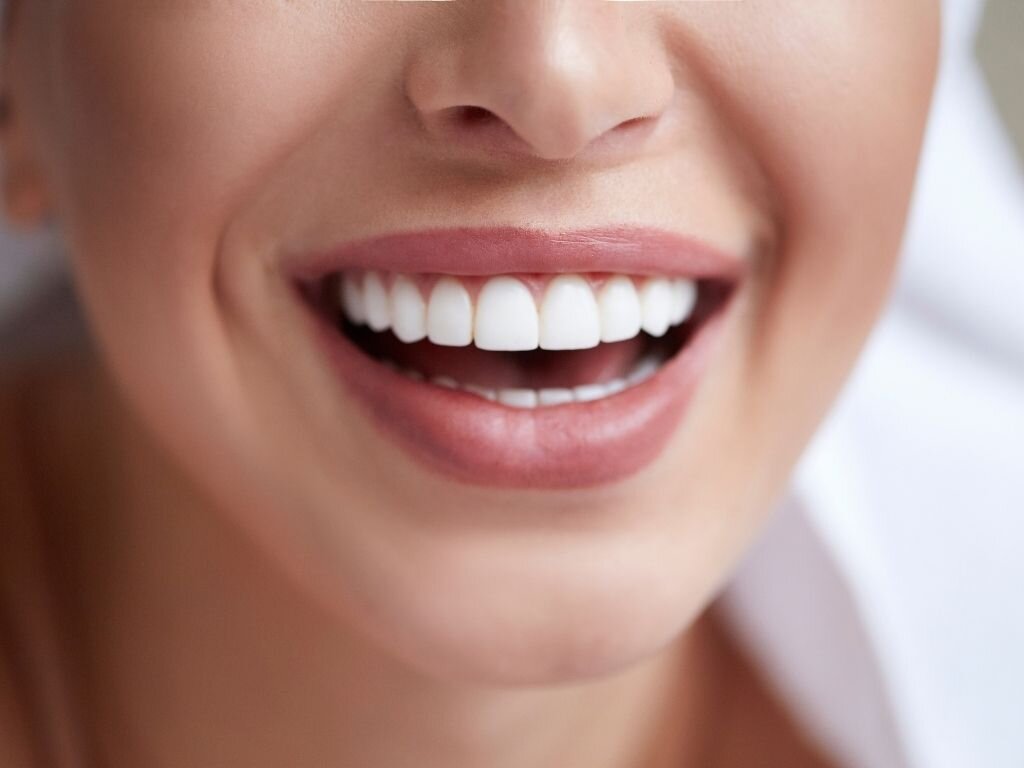 The Anatomy of Human Teeth — Parkview Dental