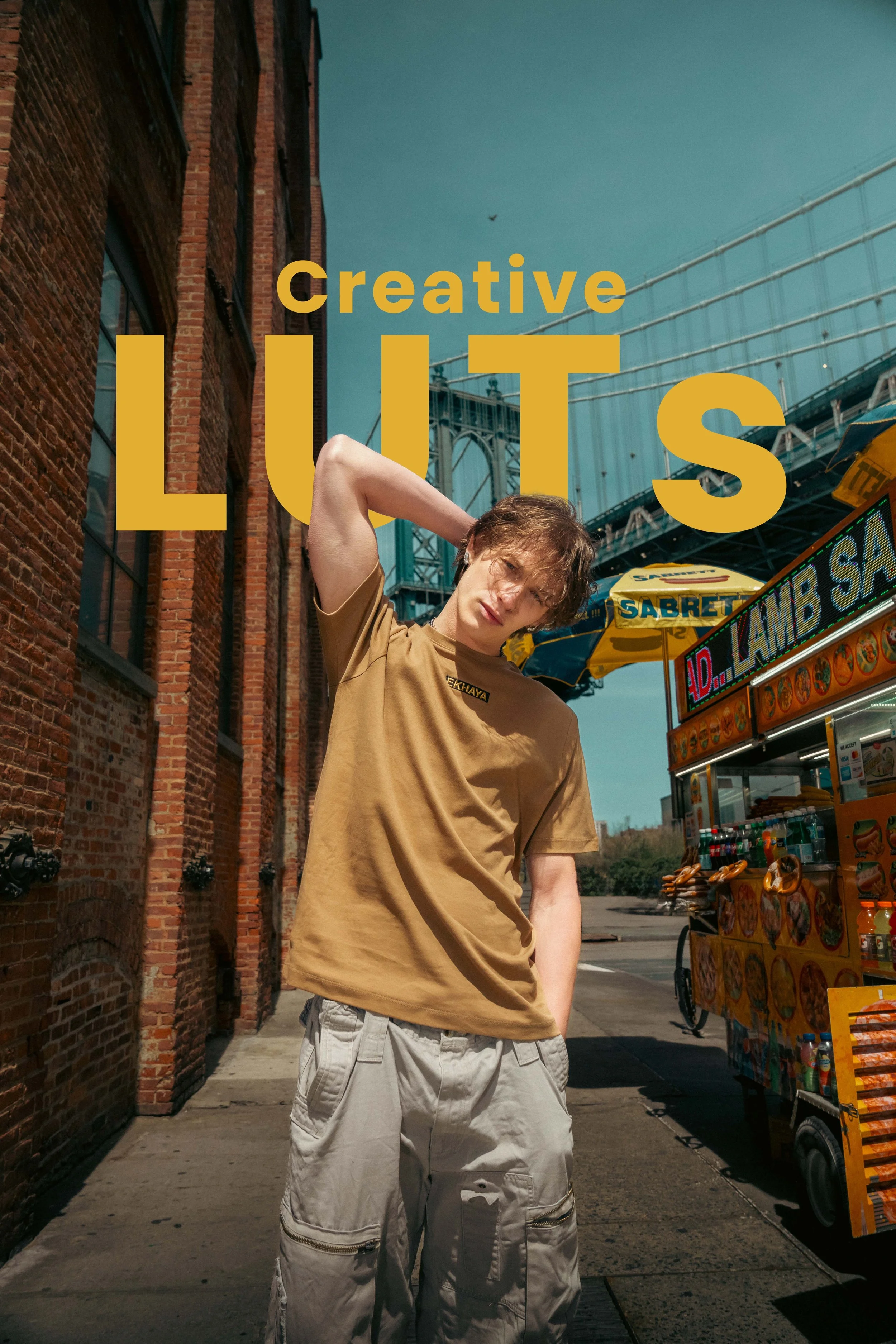 Creative LUTs + Sony and DJI Conversion LUTs