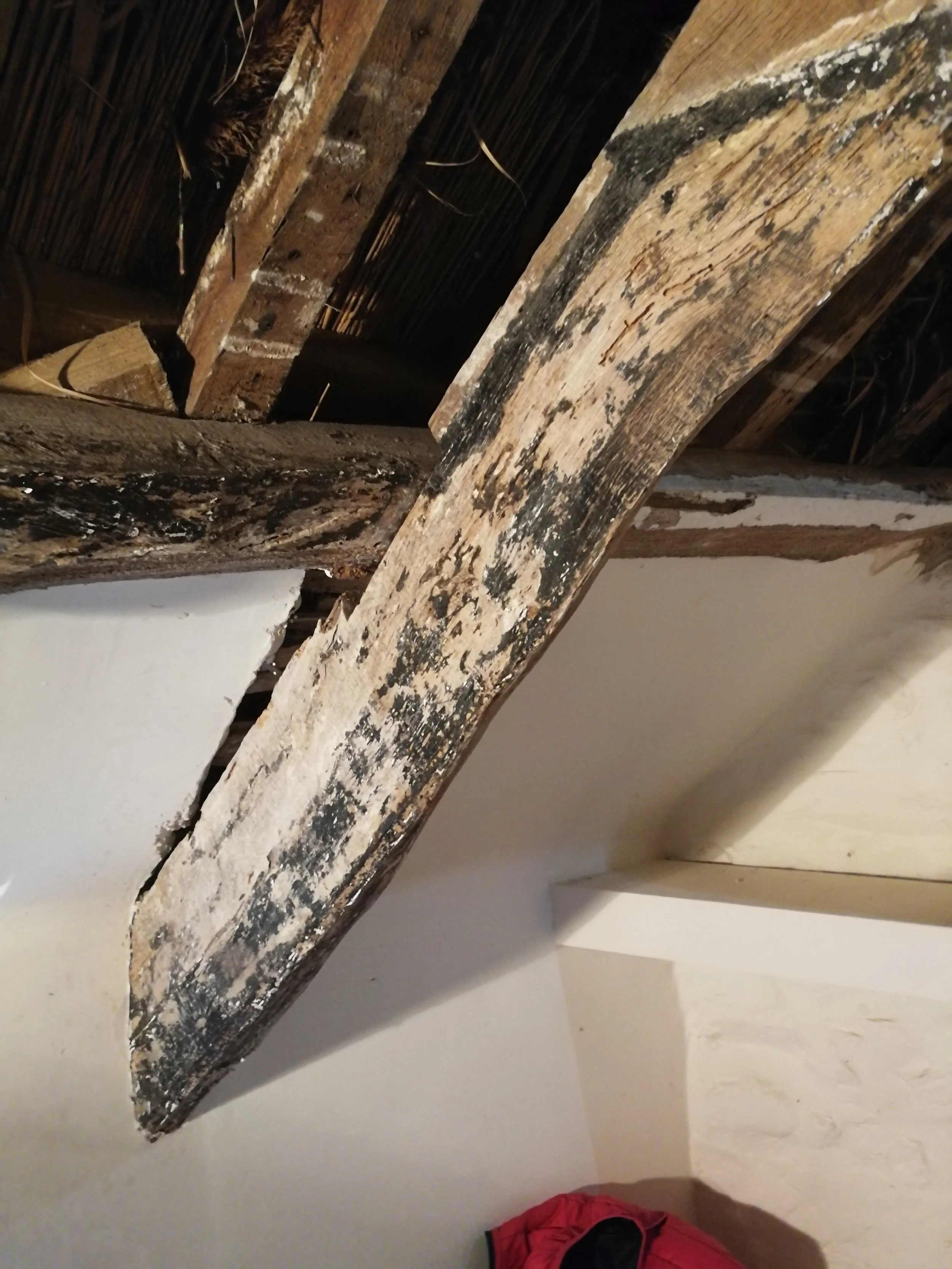 Let's clean them up.