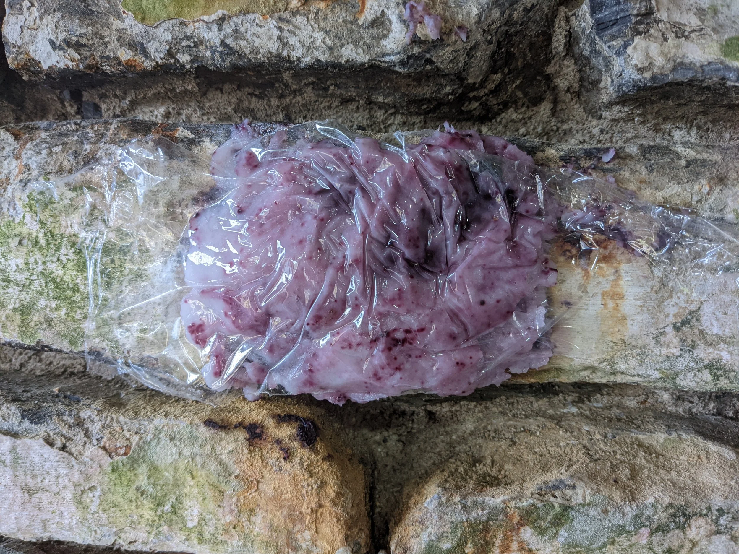 Poultice to remove the iron oxide stain.