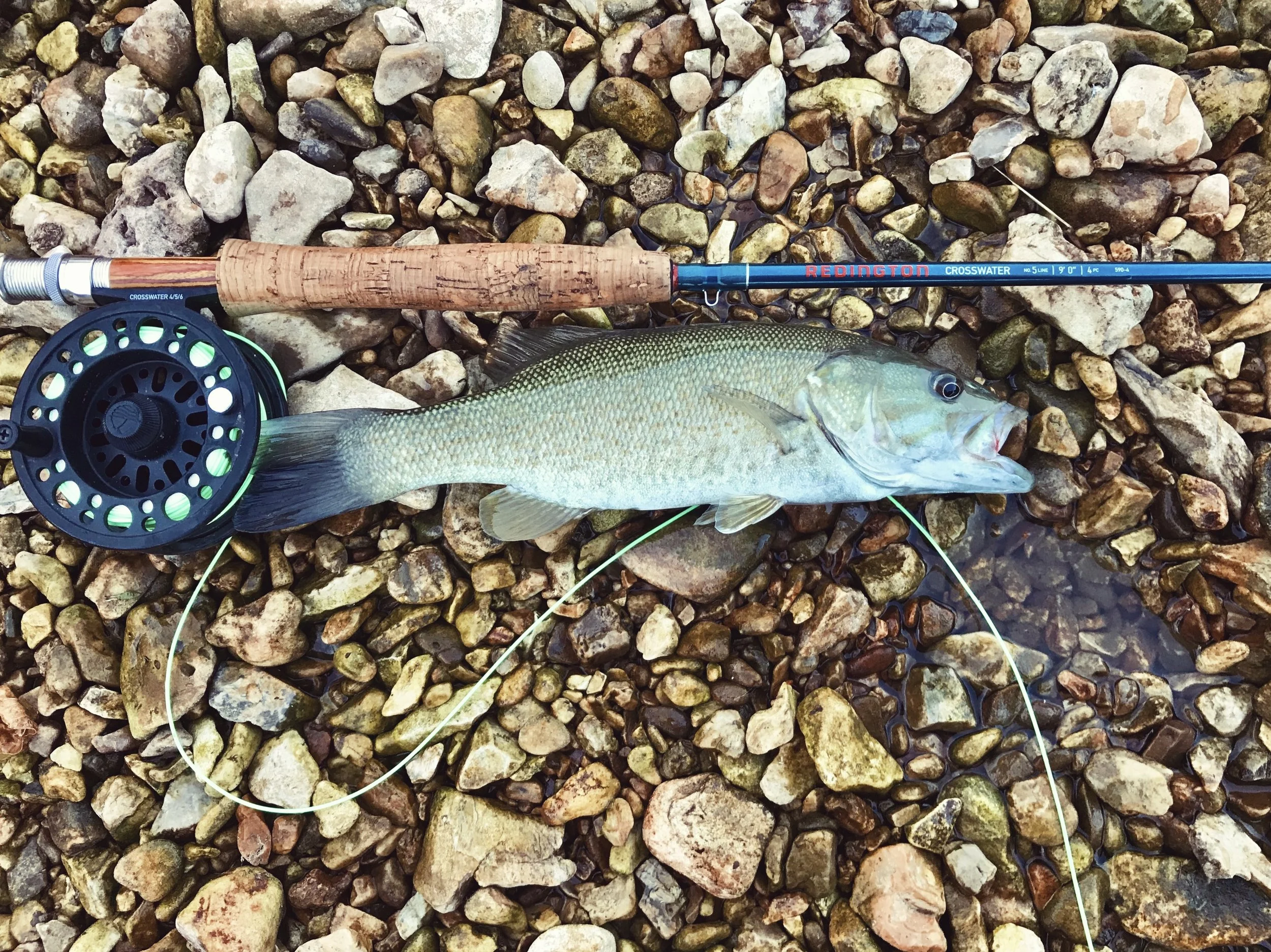 Fly Fishing on the Illinois River