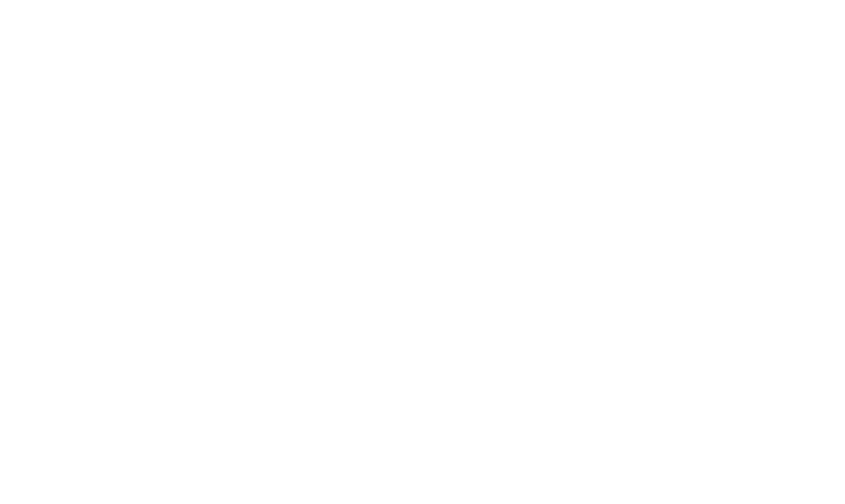 Robert E. Williams II 