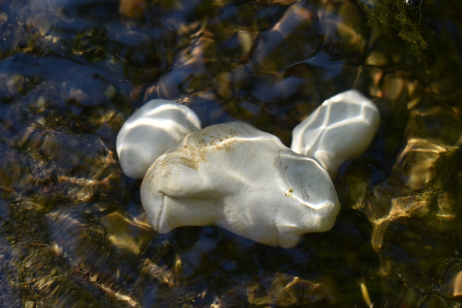 DSC_3188.JPG