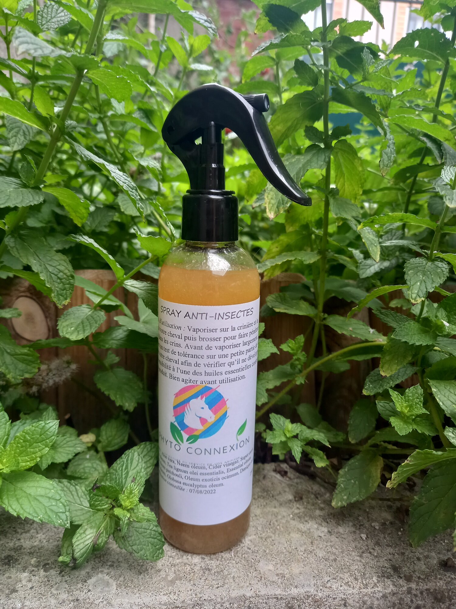 Répulsif/anti-insectes spray — Phyto Connexion