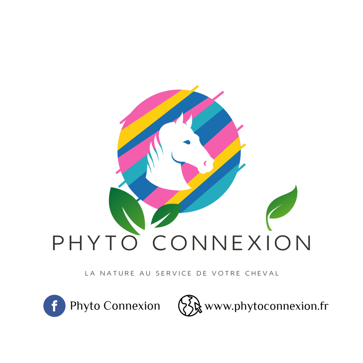 Phyto Connexion