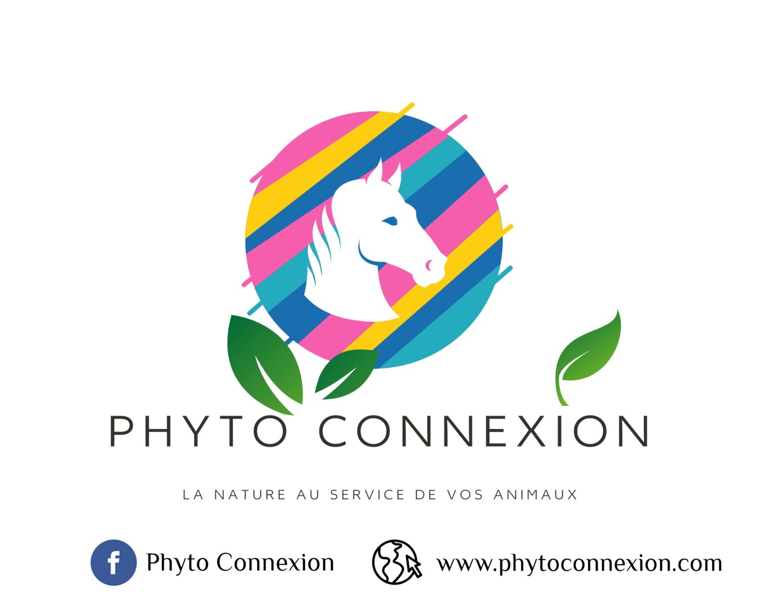 Phyto Connexion