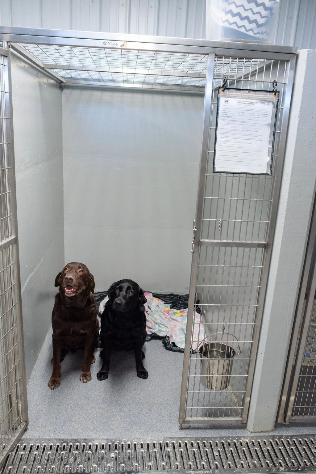 Standard 4x6 Kennel