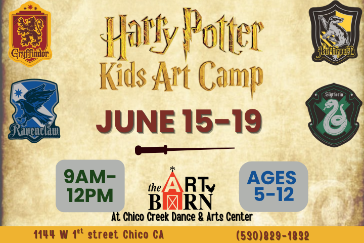 Harry Potter Art Camp