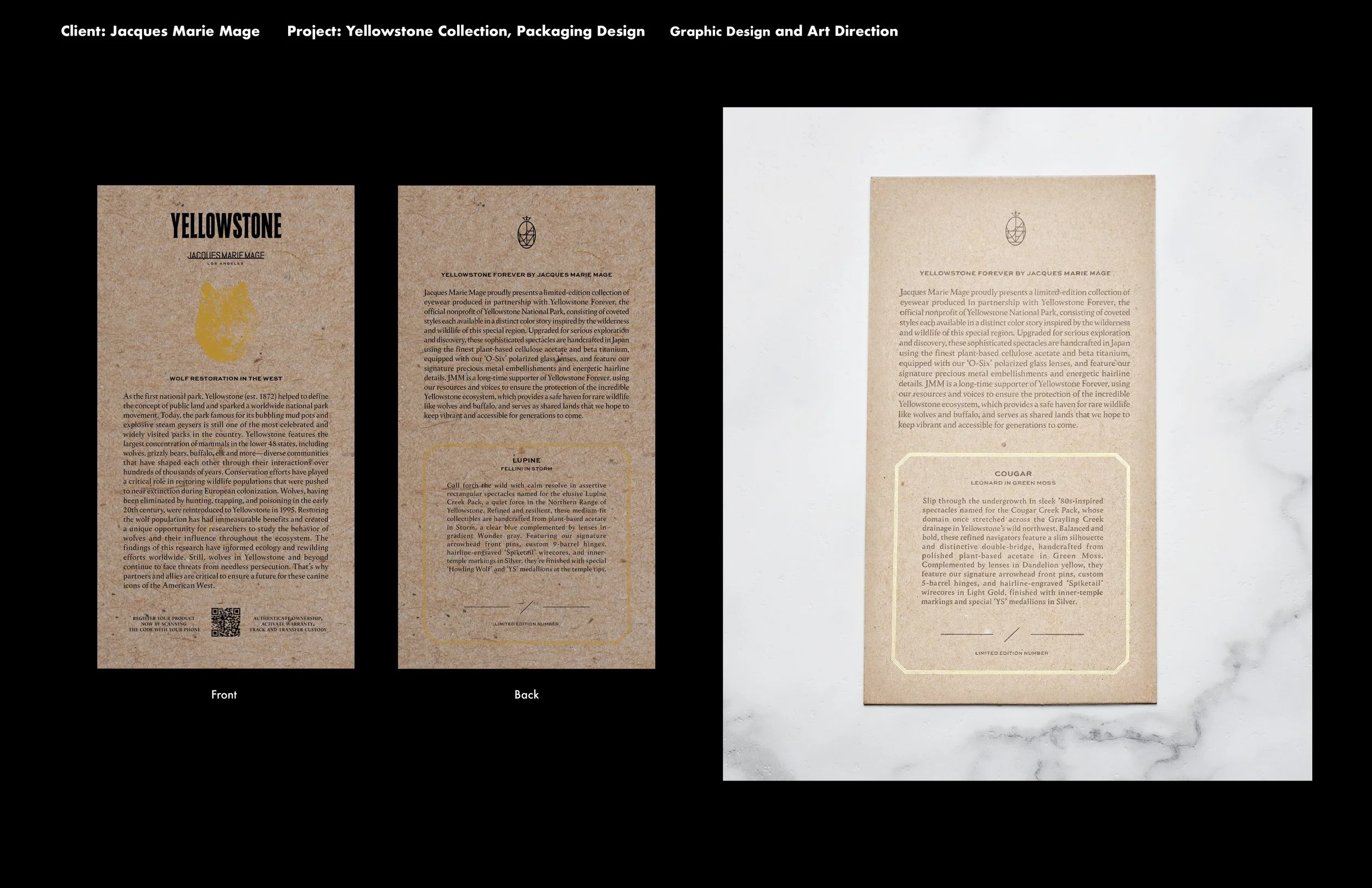 Portfolio, Ashkan Parsee, Web_13.jpg