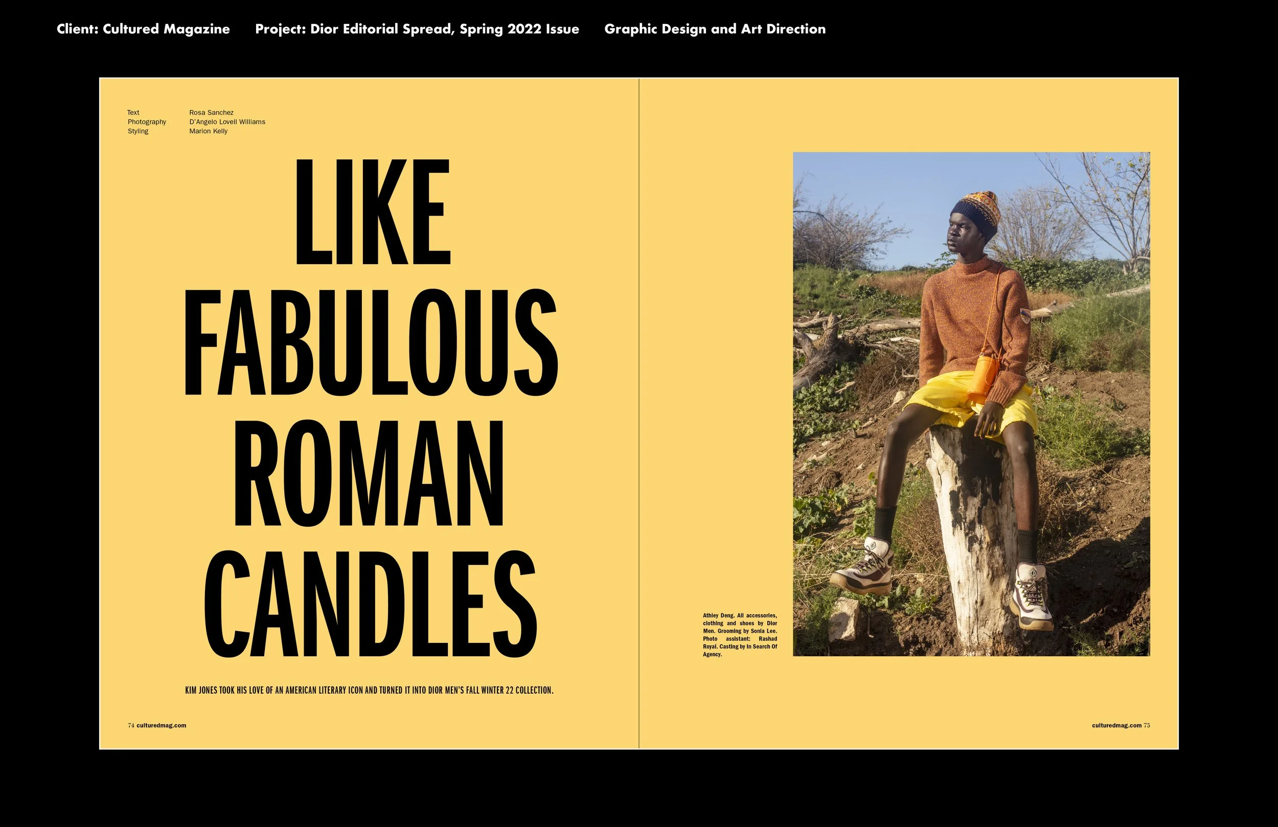 Portfolio, Ashkan Parsee, Web_27.jpg