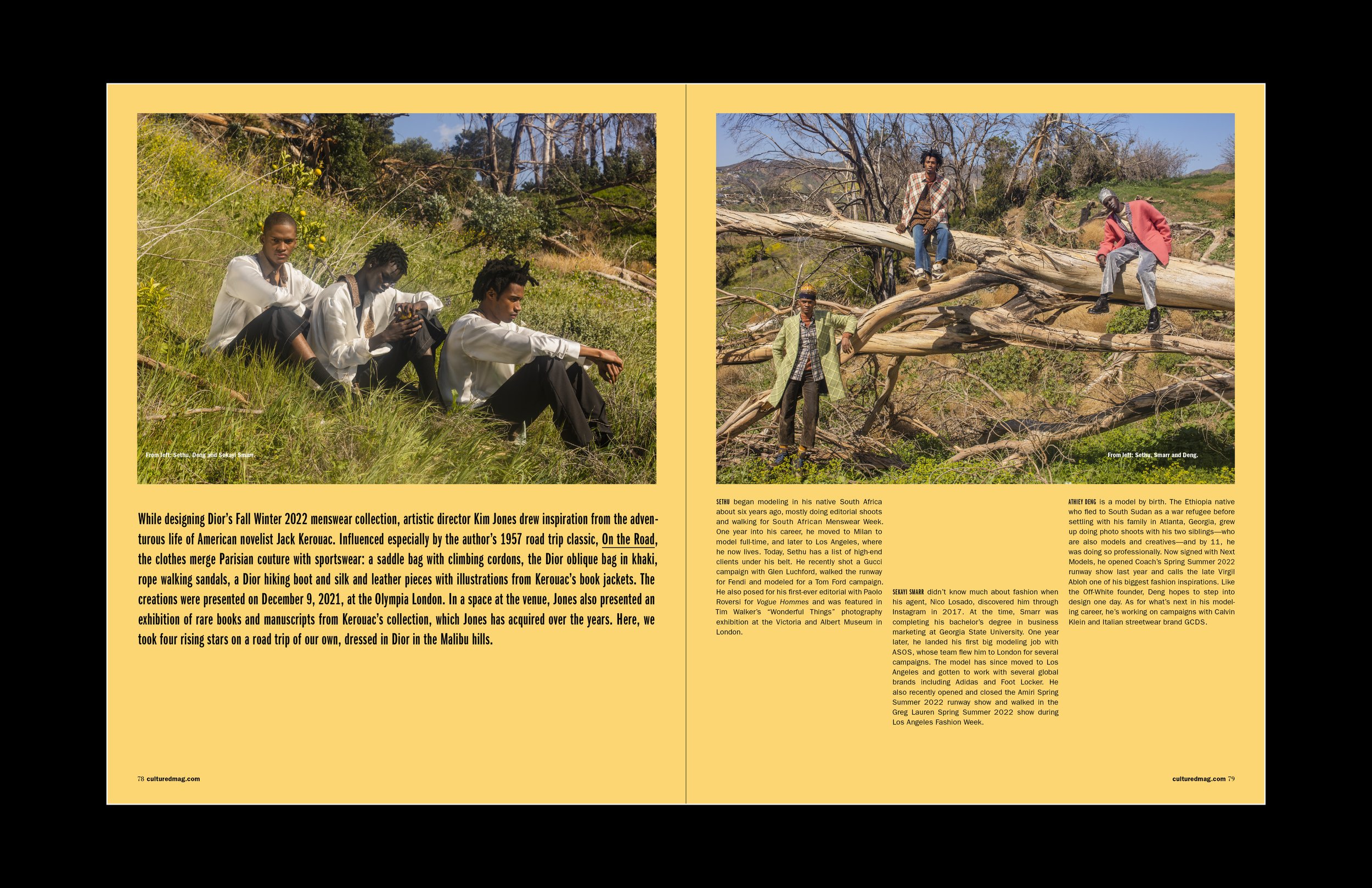 Portfolio, Ashkan Parsee, Web_29.jpg