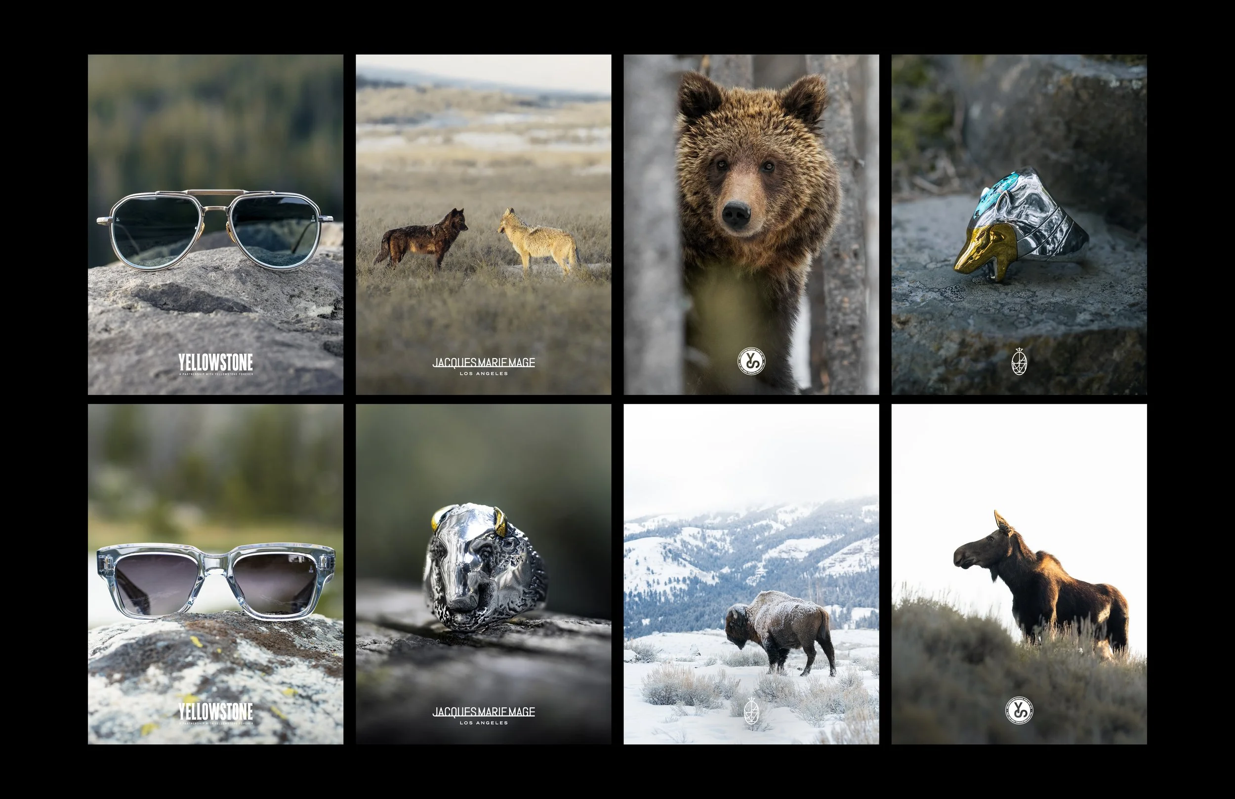 Portfolio, Ashkan Parsee, Web_06.jpg