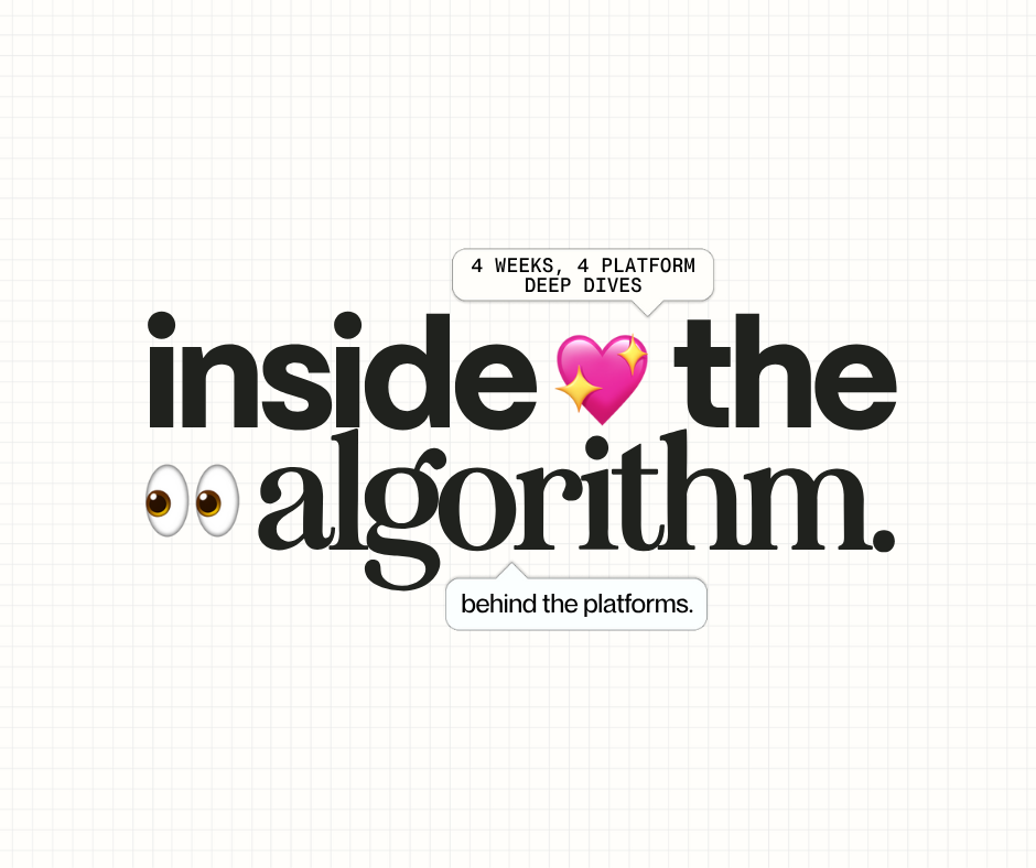 the ultimate Notion content hub (35).png