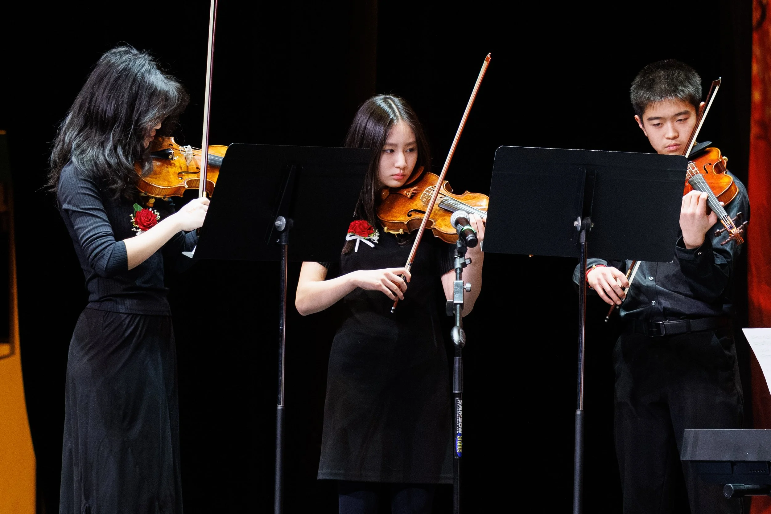 19 Excerpt from the Butterfly Lovers-4005.jpg