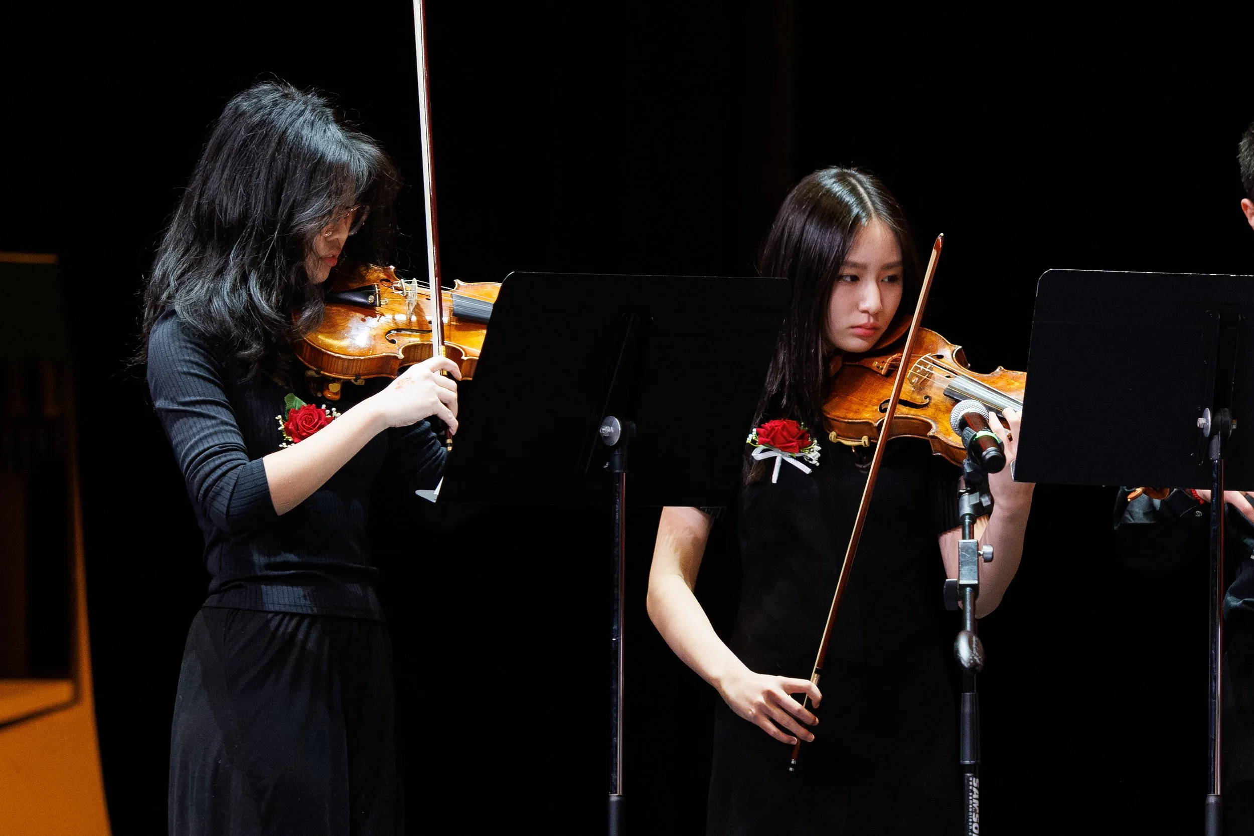 19 Excerpt from the Butterfly Lovers-4011.jpg