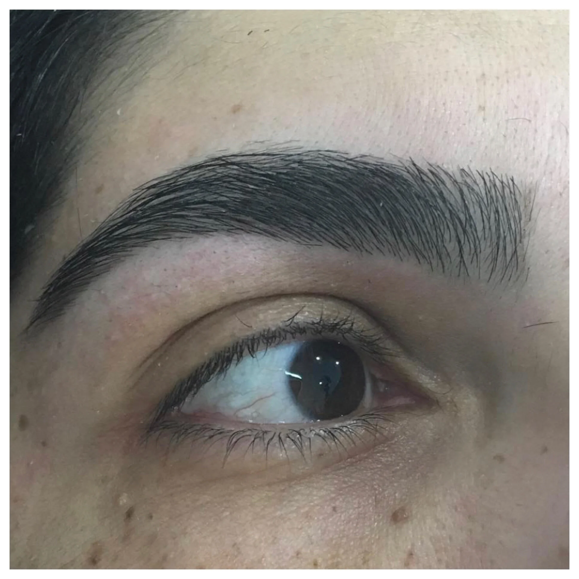 Brow shaping by Cynthia Wrobel Brows by Cynthia