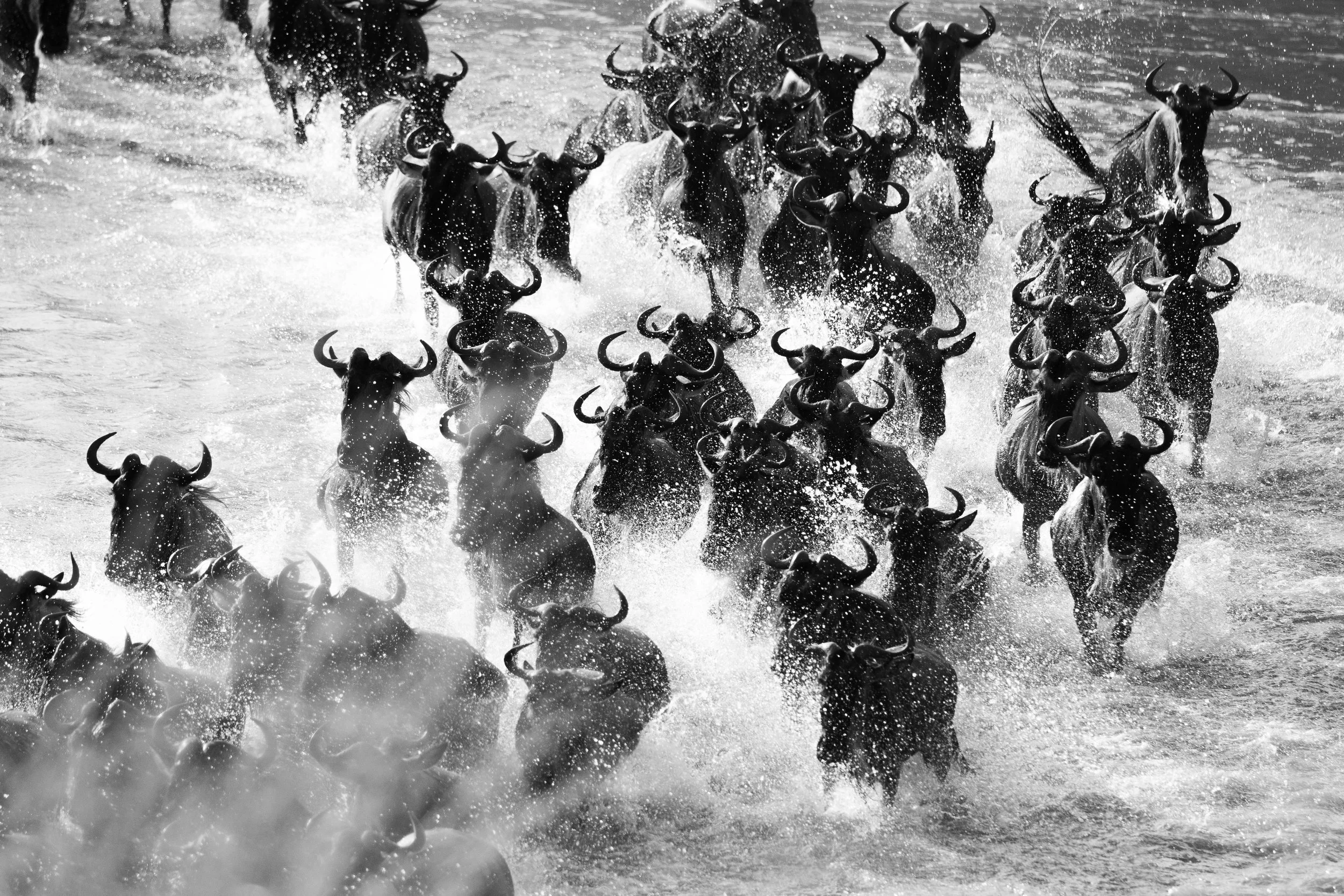 Africa-30.jpg