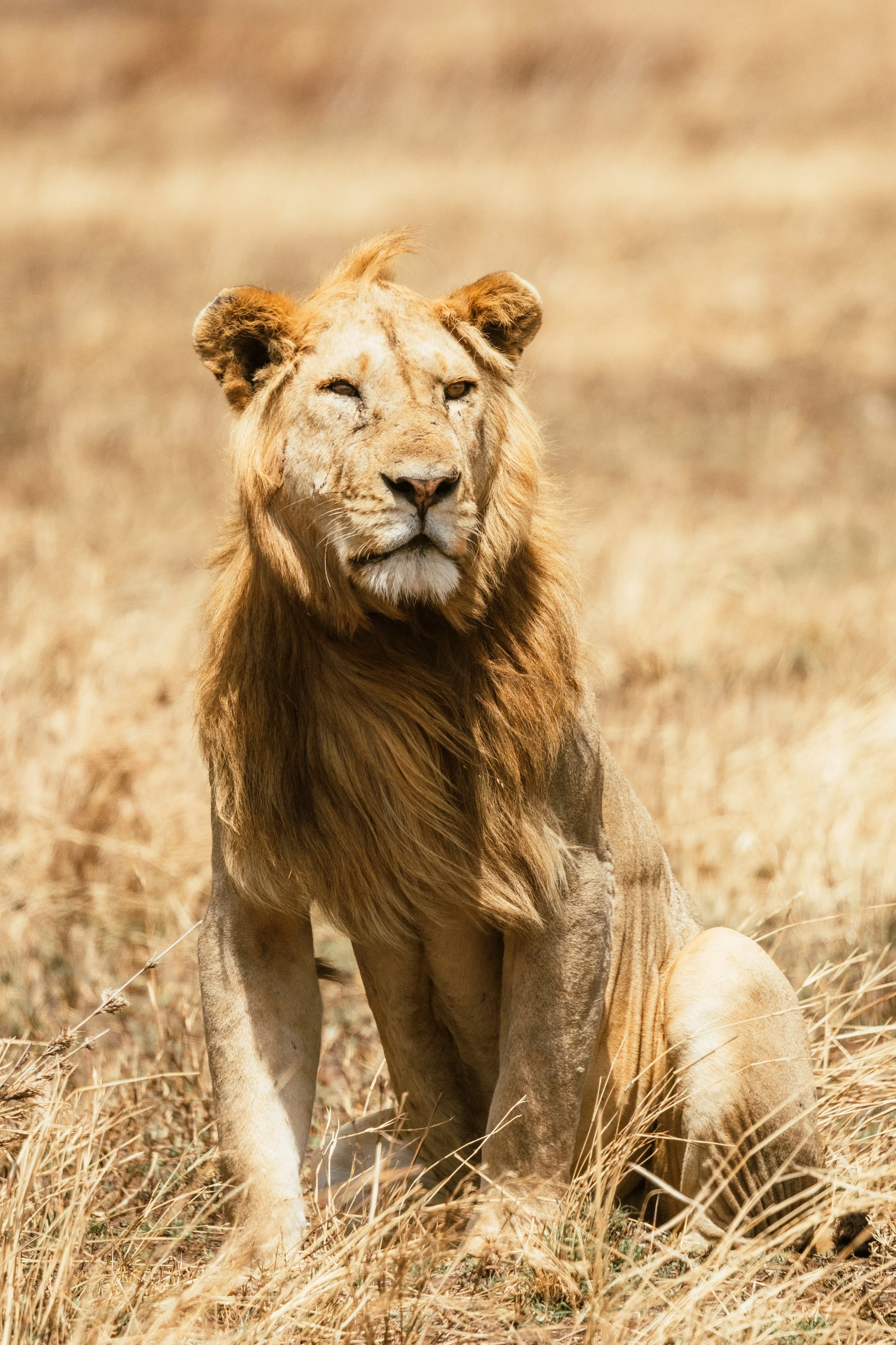 Africa-65.jpg