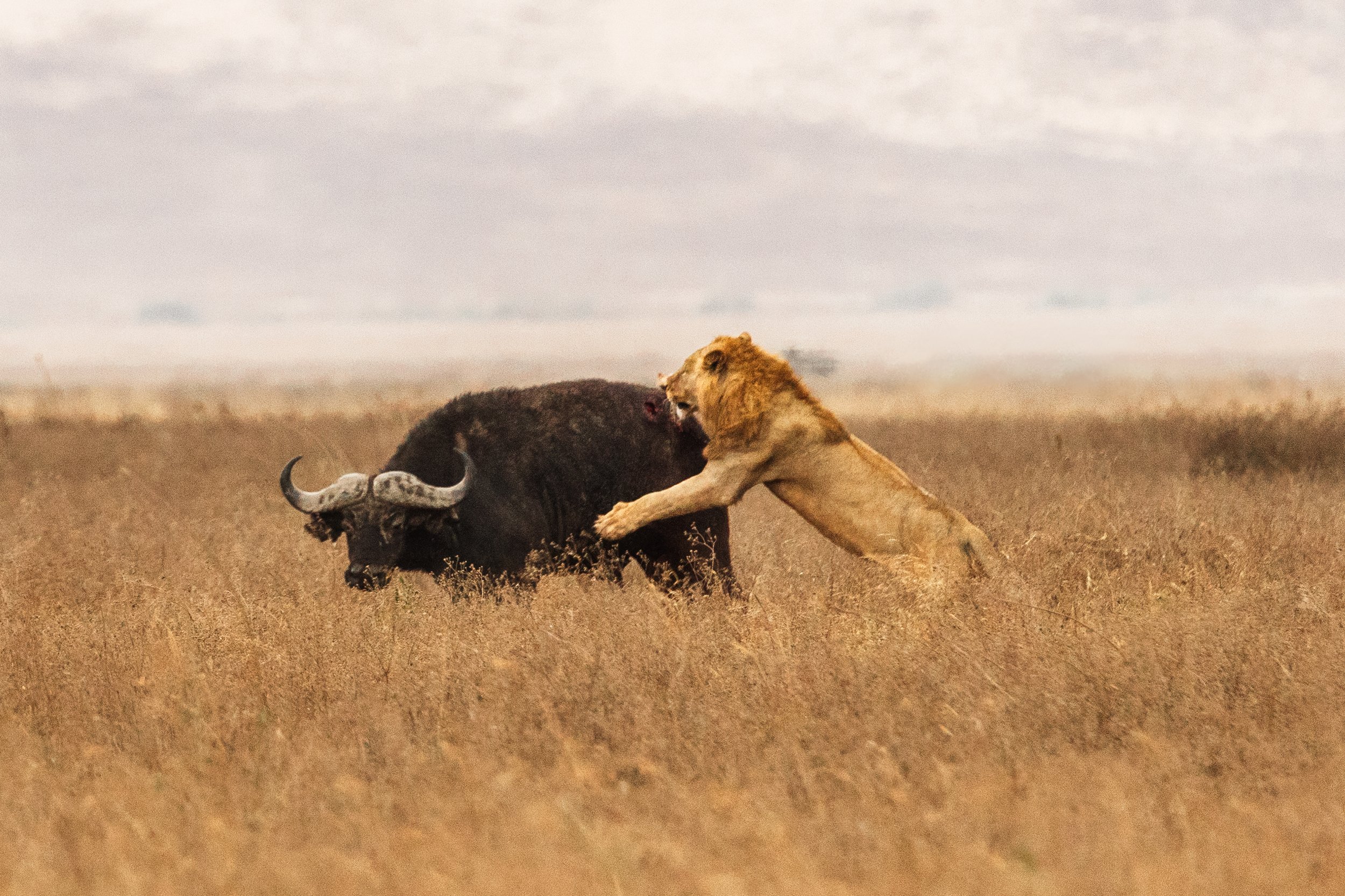 Africa-69.jpg