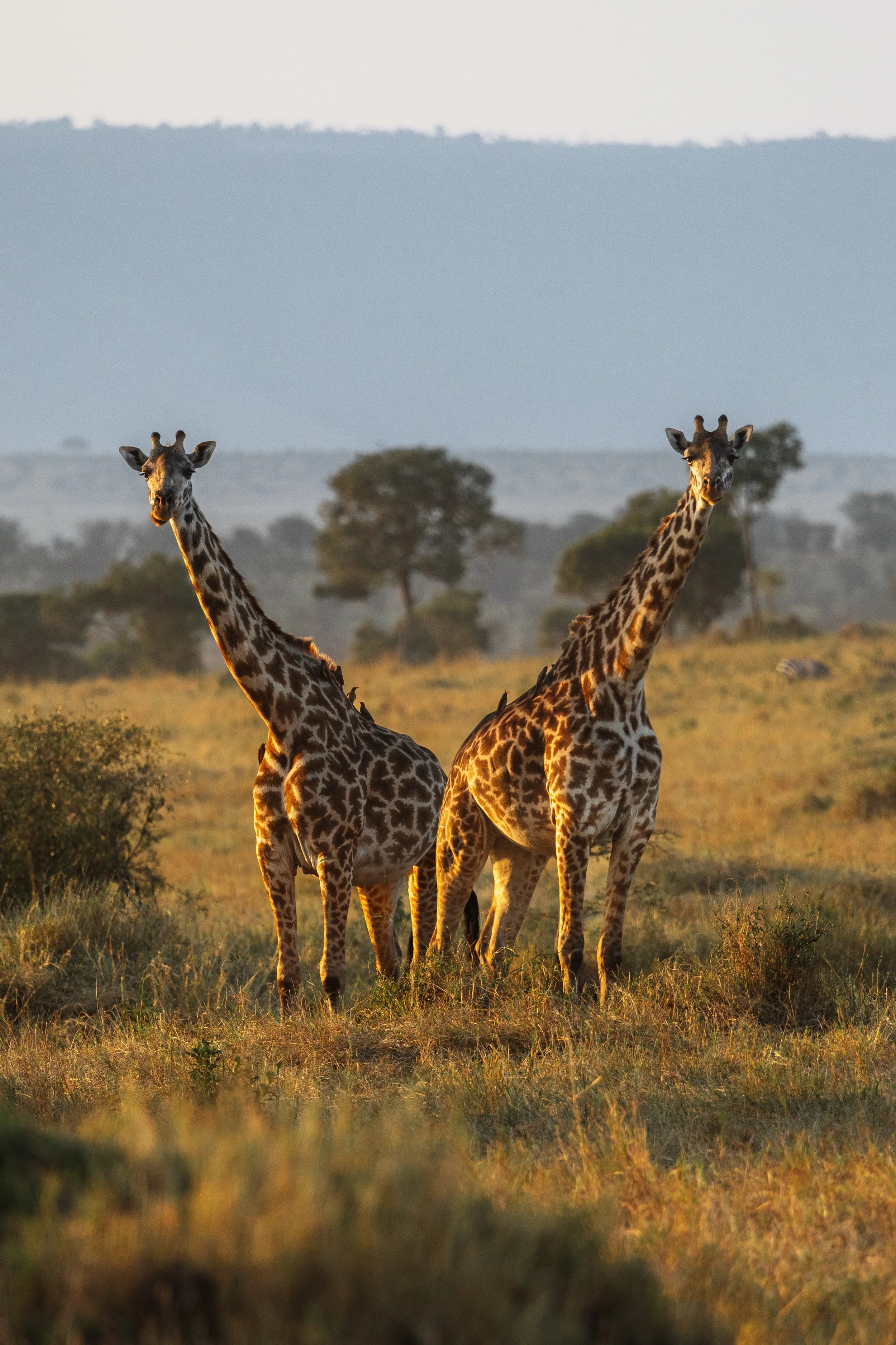 Africa-29.jpg