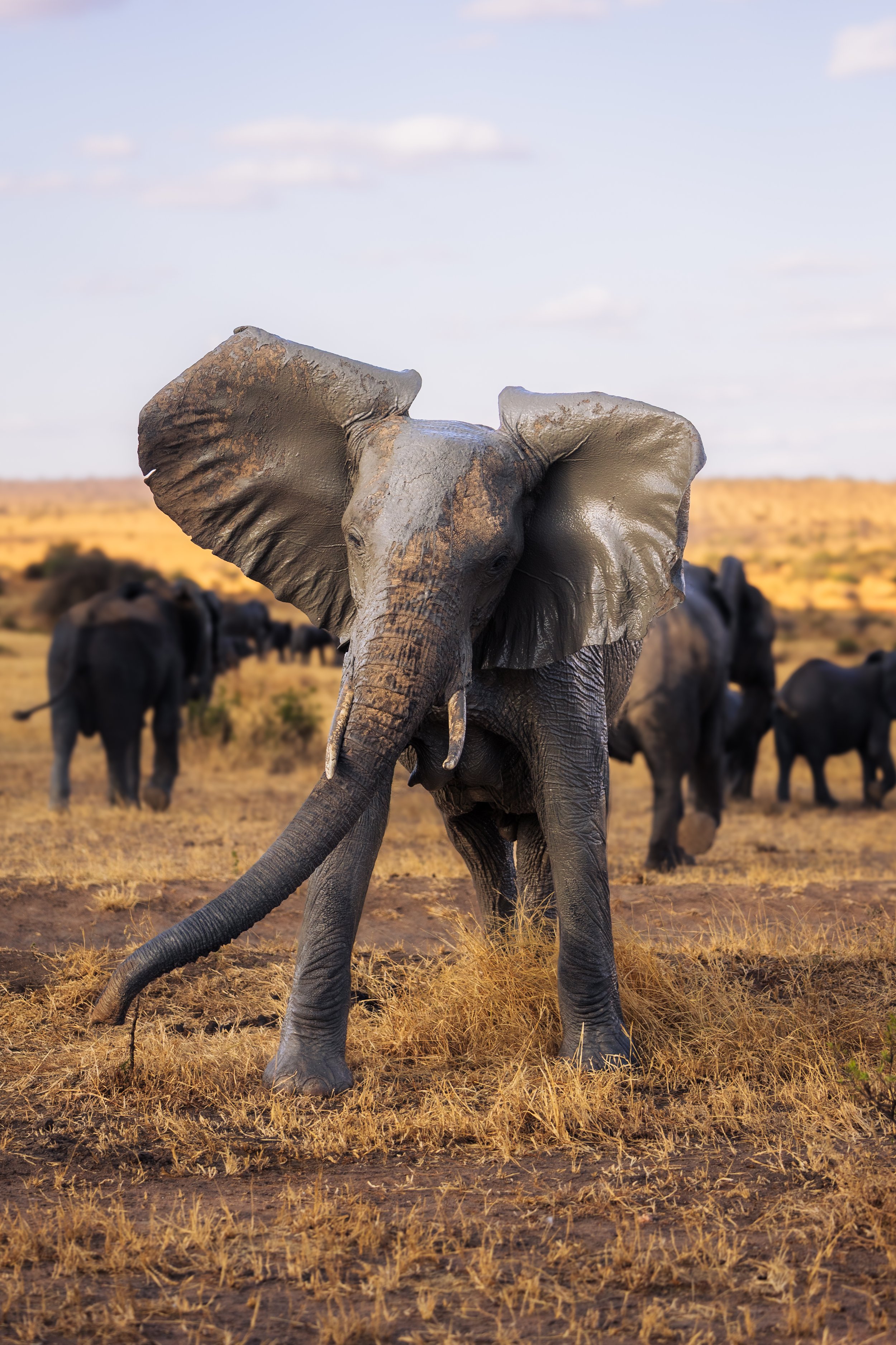 Africa-70.jpg