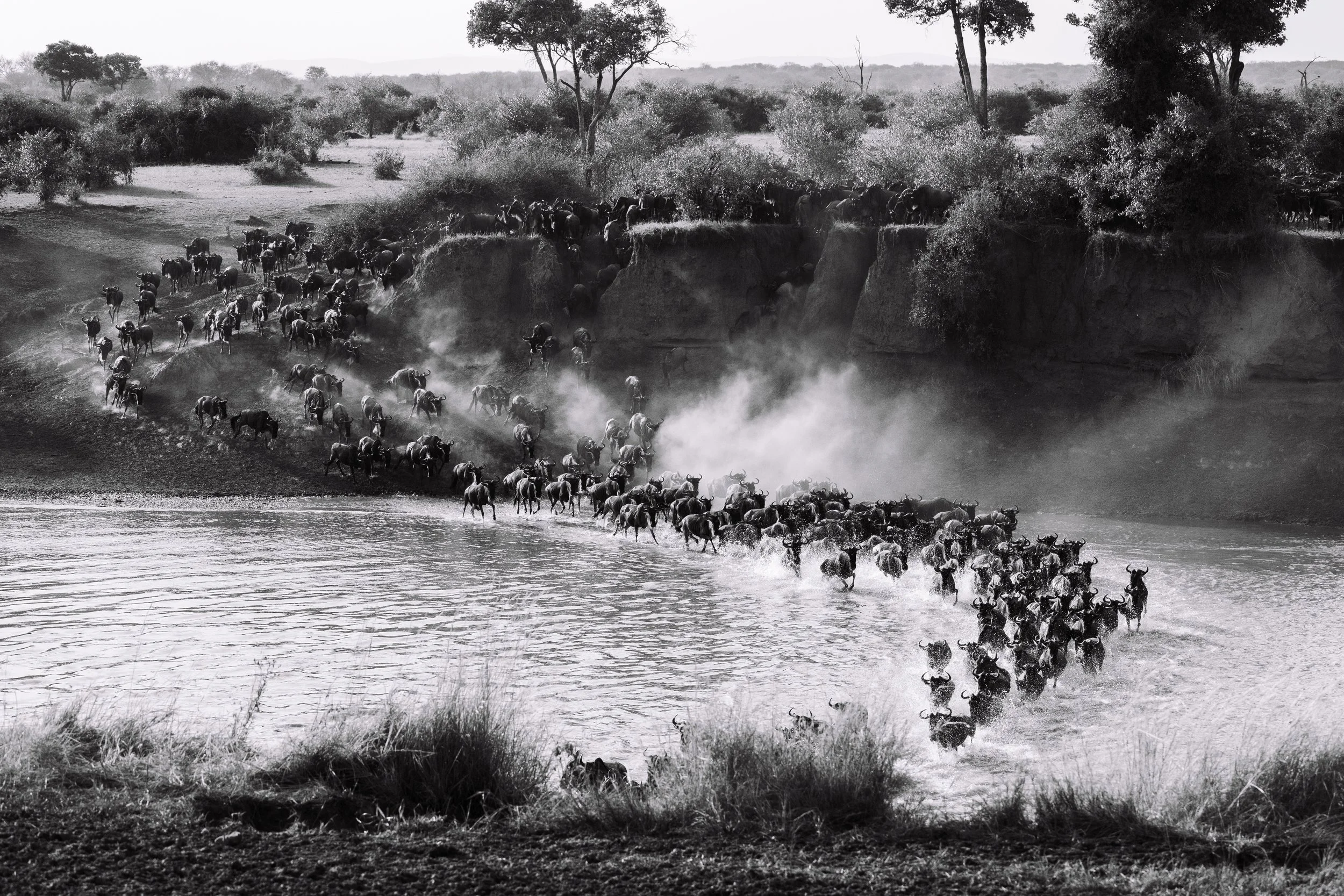 Africa-31.jpg