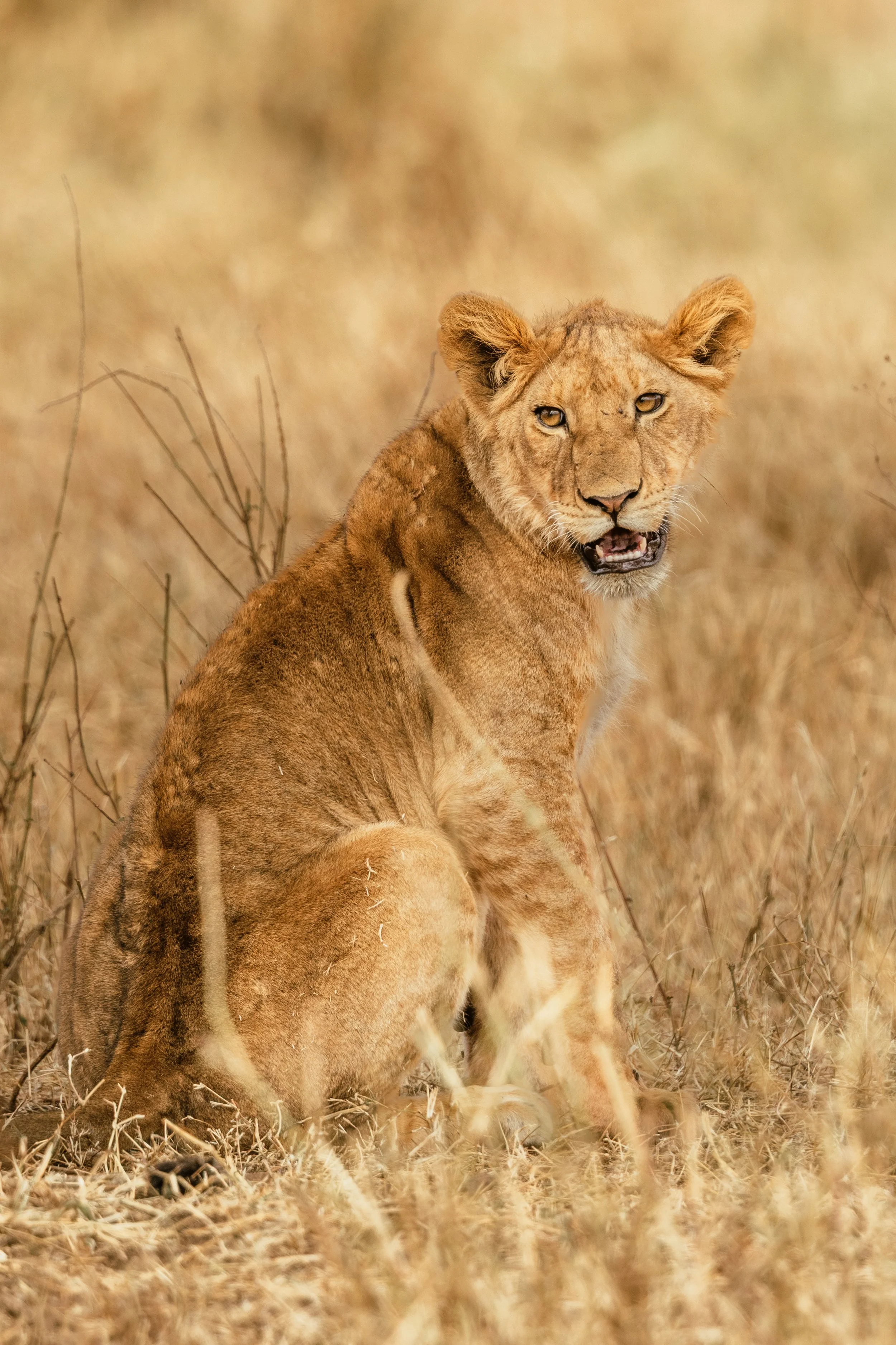 Africa-37.jpg