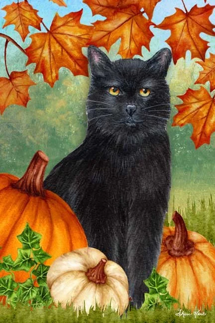 Black Cat