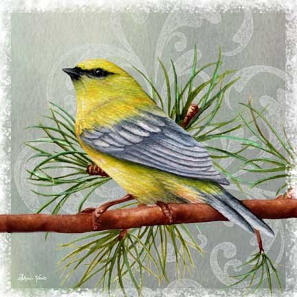 Warbler