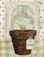Garden Lavender