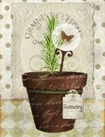 Garden Rosemary