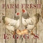 Farm fresh eggs