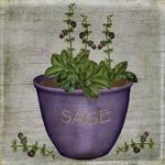 Herb Sage