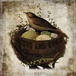Nest and Eggs