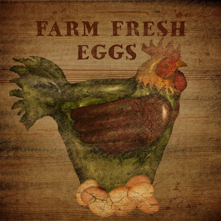 Farm Fresh Eggs