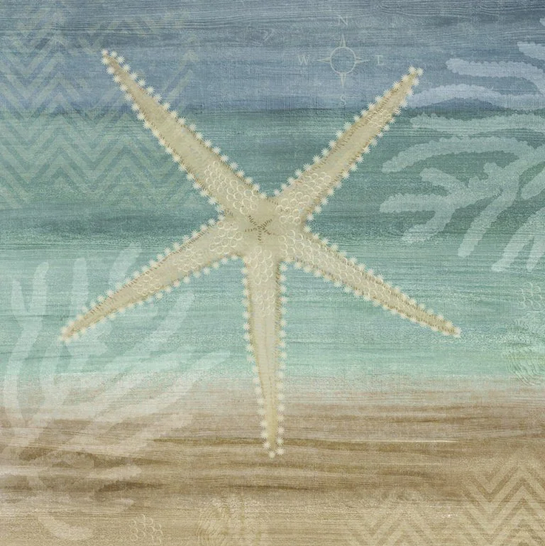 White Starfish